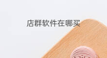 店群软件在哪买 店群软件分类