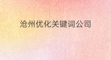 沧州优化关键词公司 沧州包年关键词优化