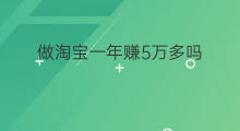 做淘宝一年赚5万多吗 一年赚5万的公司多吗