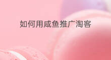 如何用咸鱼推广淘客 淘客如何利用咸鱼引流