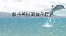 孝感关键词优化团队 孝感关键词优化方式