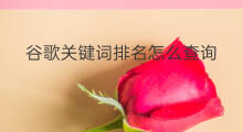 谷歌关键词排名怎么查询 谷歌怎么查询关键词排名 谷歌关键词排名怎么查询 谷歌怎么查询关键词排名