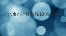 北京b2b系统建设怎么做 b2b订货系统怎么做