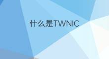 什么是TWNIC(财团法人中国网络信息中心)？