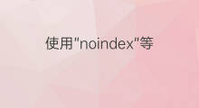 使用”noindex”等4种方式禁止特定网页被收录，提升网站整体seo品质