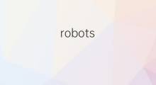 robots meta标签和x-roborts-tag HTTP回应标头