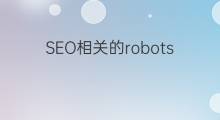 SEO相关的robots.txt 观念总整理