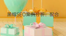 黑帽SEO案例分析:配合「摩天楼SEO工具」浅析黑帽大神的SEO手段 黑帽SEO案例分析:配合「摩天楼SEO工具」浅析黑帽大神的SEO手段
